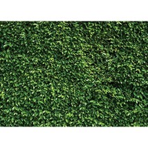 Green Leaves Backdrop Grass Backdrop Natural Green Lawn Party Photograph... - £35.34 GBP