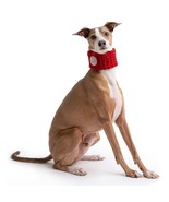 GF PET Chalet Tube Dog Scarf - $27.34 CAD