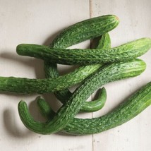 Best 25 Seeds Suyo Long Cucumber Hybrid Easy Planting Vegetable Garden Pickling - $4.89