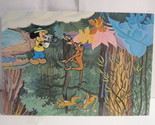 1978 Walt Disney&#39;s Fun &amp; Facts Flashcard #DDF2-17: Rivers - $2.00