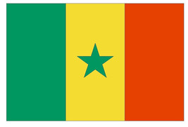 Senegal International Flag Sticker Decal F450 - £1.54 GBP+