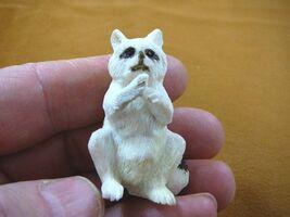 (Rac-2) white Raccoon sitting of shed ANTLER figurine Bali detailed carv... - $86.89