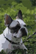 Pepita needlepoint kit: Bull Dog, 7&quot; x 10&quot; - $50.00+