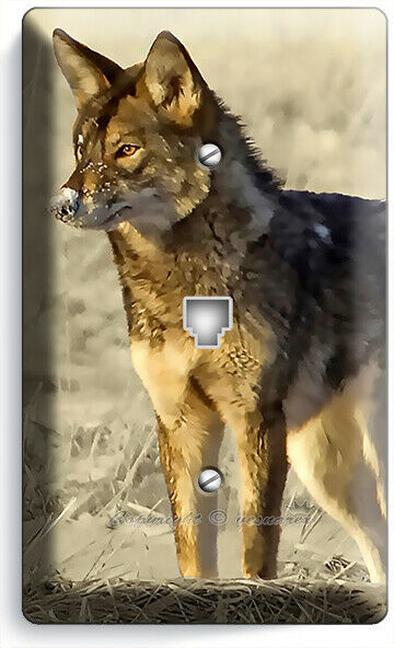Primary image for WILD AMERICAN COYOTE SNOW WINTER PRAIRIE PHONE TELEPHONE WALL COVER PLATES DECOR