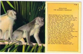 Comic Postcard Evolution From The Monkey&#39;s Viewpoint - $1.97