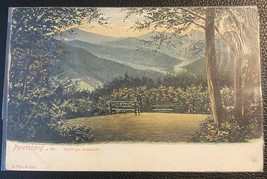 Beautiful Vintage German Scenery Linen Postcard  - $3.75