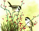 Chicadee Uccelli Artista Firmato Da R Winslow Unp Non Usato Cartolina - £4.89 GBP