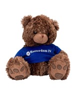 Rotterdam IV Bear Plush 16&quot; Brown Blue Shirt Holland America Stuffed Animal - $15.70