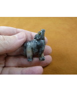 (Y-WOL-33) gray tan WOLF coyote wild dog carving SOAPSTONE stone PERU FI... - $8.59