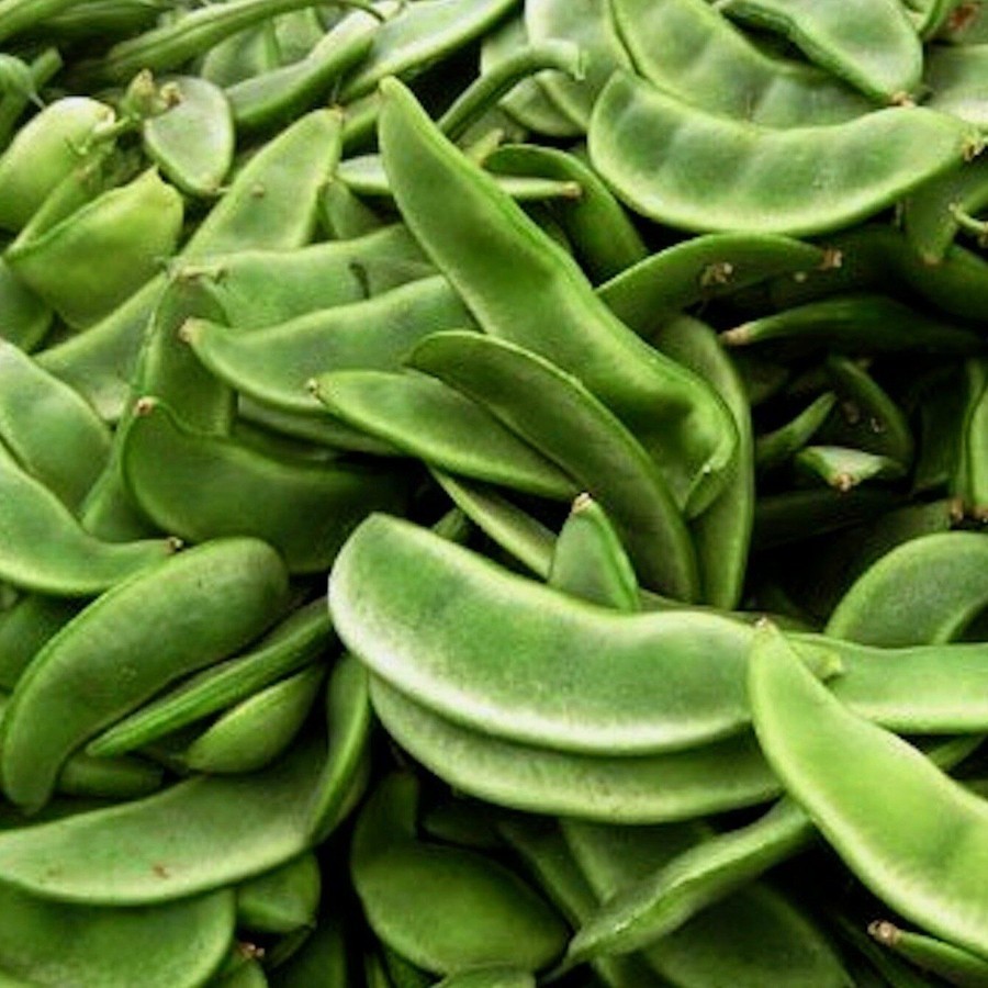 Burpee Improved Lima Bean Seeds Butter Beans - Seeds & Bulbs
