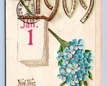 Happy New Year 1909 Agrifoglio Goffrato DB Cartolina L13 - $5.08