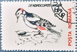 Posta Romana Dendrocopos Major 25 L: Vintage Bird Stamp Series - Clean Back Used - £6.16 GBP