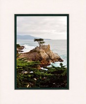 Lone Cypress by Barbara Snyder Seascape Monterey Peninsula Matted Print 5x7/8x10 - £15.52 GBP