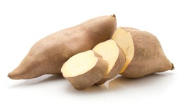 Istock 892366572  31538.17504332 thumb200