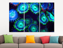 Scuba Diving Photography Canvas Print Fluorescent Underwater Aquatic Plants Ocea - £39.16 GBP