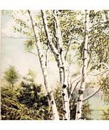 1910s Postcard Birch Trees Landscape Made In Germany Antique Ephemera E83C - $28.01 CAD