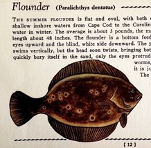 Flounder 1939 Salt Water Fish Art Gordon Ertz Color Plate Print Antique ... - $584.49 MXN