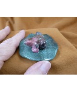 (Y-FRO-LP-723) Green pink black FROG frogs on LILY PAD stone gemstone fi... - $34.28 CAD