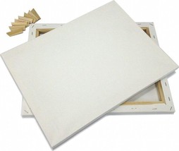 Lot Of 20 Artist Canvases 16x20 Pre-Stretched Cotton Duck Double Acrylic Gesso - £77.43 GBP