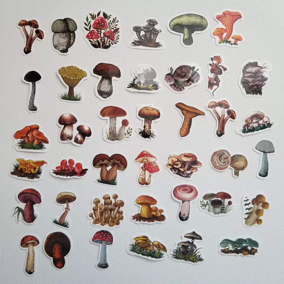 40pcs Vinyl Cute Mushroom Sticker Pack For Journaling,Scrapbooking,phone - $9.99
