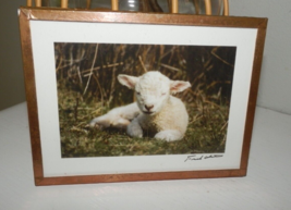 Framed Signed By Artist Lamb Magnet By Fred Horton Copper Foil Frame - £15.81 GBP