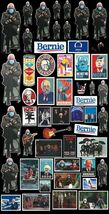 Bernie Sanders Meme Mittens Inauguration 104 piece vinyl decal stickers set - $34.60
