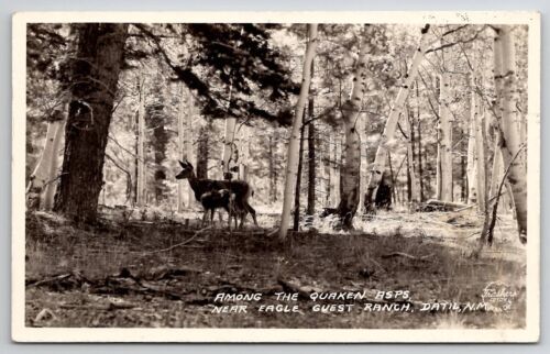 Primary image for Datil New Mexico Deer Among the Quaken asps Near Eagle Guest Ranch Postcard C26