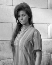 Claudia Cardinale gorgeous 1960&#39;s portrait in striped shirt 8x10 inch photo - $9.75