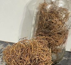 HONDURAS Raw Sea Moss (Chondrus Crispus) recommended and approved by Dr. Sebi4oz - £39.56 GBP
