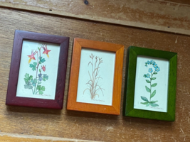 Lot of Mini Botanical Prints Signed by Beth Ann Hamilton in Green Mustard or Cra - £15.27 GBP