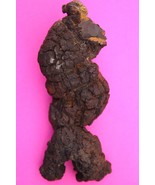 Giant Lizard Poop 5 Million Years Old Coprolite Genuine Fossil Dino Girl... - $47.98 CAD