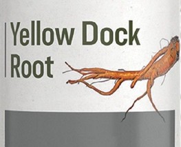 Yellow Dock Root - Blood, Liver &amp; Digestive Support Detox Tonic Tincture Usa - £19.64 GBP
