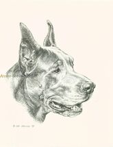 #63 BLUE/GREY  GREAT DANE *  dog art print * Pen and ink drawing * Jan J... - $12.50