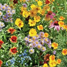2000 Native Perennial Wildflower Mix Seeds Pollinators Cut Flowers 17 Varieties - £14.59 GBP