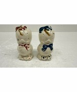 American Bisque Chicks Salt &amp; Pepper Shakers Ducks Painted Vintage - €9,37 EUR