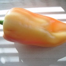 New Fresh Seeds 25 Organic Giant Szegedi Pepper Capsicum Annuum Hungarian Sweet  - $14.90