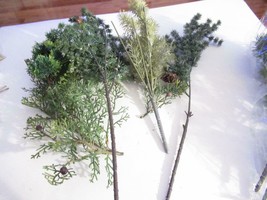 G SCALE - LARGE TREE LIMBS ETC - APPROX 17&quot; TALL-  EXC- W71 - £5.45 GBP