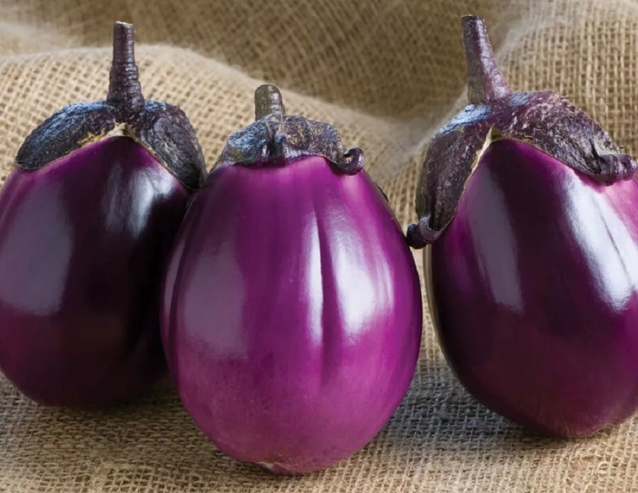 50 Beatrice Eggplant Seeds Vegetable seeds Easy to Grow - £13.36 GBP