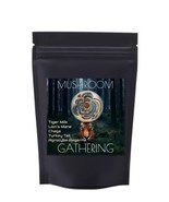 Premium Mushroom mix/Lion&#39;s Mane, Tiger milk, Turkey tail, Chaga (120 caps) - £13.35 GBP