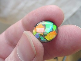 (J-487) Green orange Red oval Ammolite fossil shell loose cabochon nautilus - £105.35 GBP