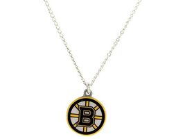 Aminco NHL Boston Bruins Team Logo Pendant Necklace - $9.85
