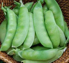 Giant Snow Pea Seeds - Organic &amp; Non Gmo Pea Seeds - Heirloom Seeds - Fr... - £7.77 GBP