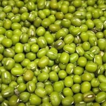 Organic Mung Bean Seeds Sprouting Microgreens Or Plant Gardening USA SHIPPING - $15.47