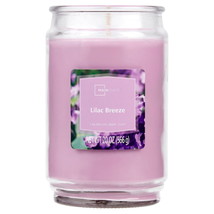 Lilac Breeze Scented Single-Wick Large Glass Jar Candle, 20 Oz - $19.50