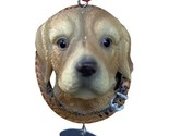 Midwest CBK Golden Lab in Collar Hanging Christmas Ornament  Labrador - £7.49 GBP