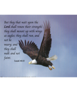 8 x 10 Unframed Flying Eagle Wall Art Print Home Hanging Poster Home Decor - $9.57 CAD+