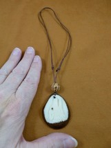 tne-wol-773b) white howling Wolf TAGUA NUT Necklace Vegetable wild dogs - $561.41 MXN