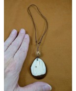 tne-wol-773b) white howling Wolf TAGUA NUT Necklace Vegetable wild dogs - €26,01 EUR