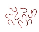 Eagle Claw Salmon Egg Fish Hooks for Trout, Size 6, Pack of 10, L038RG-6 - $4.95