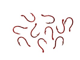 Eagle Claw Salmon Egg Fish Hooks for Trout, Size 6, Pack of 10, L038RG-6 - $4.95